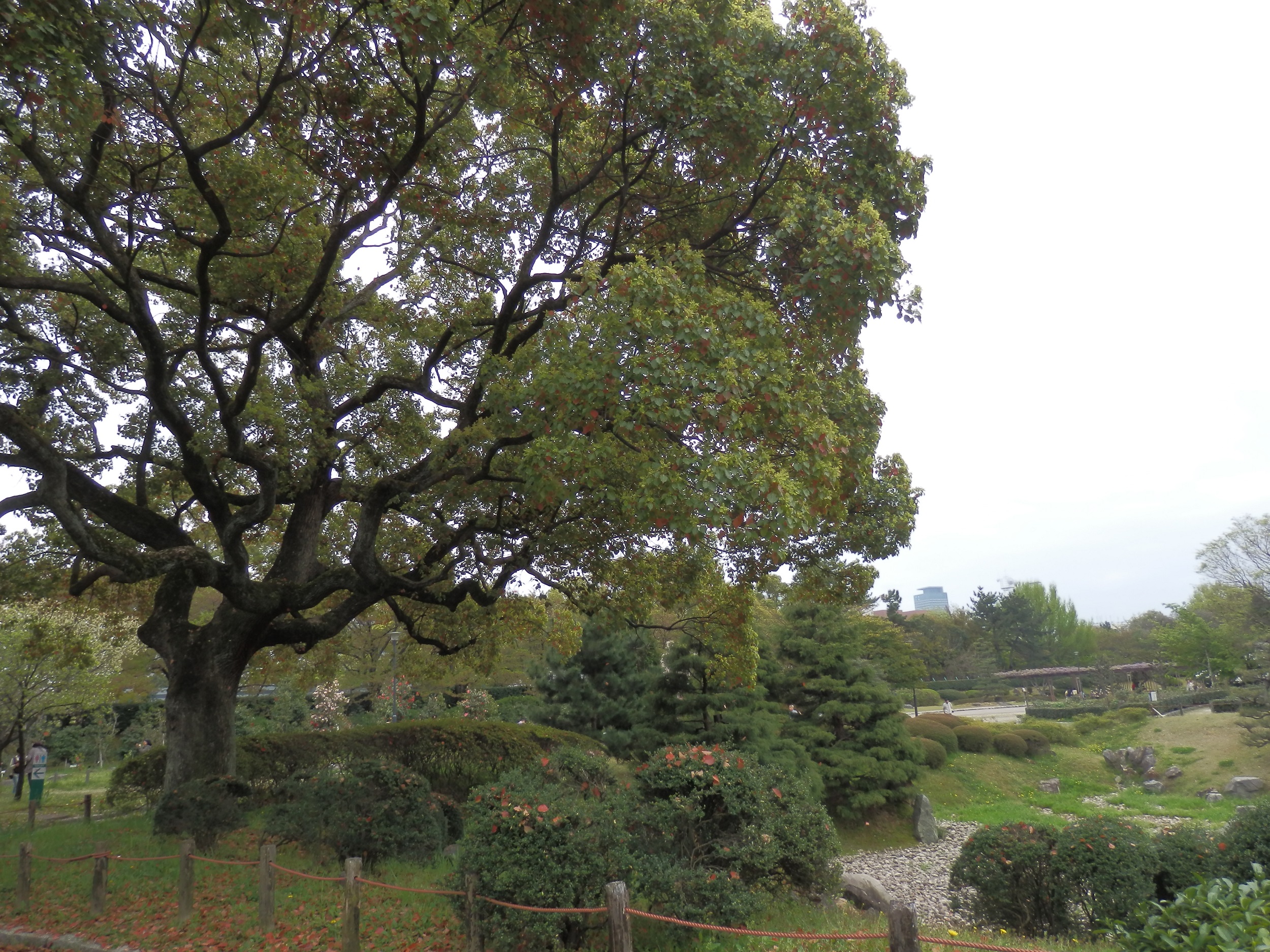 Aichi Nagoya